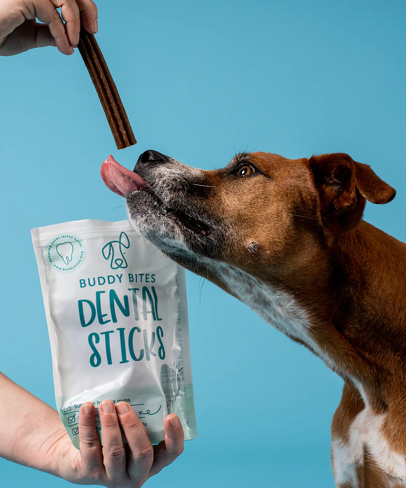 Nourriture pour chien Soldes -Nourriture pour chien Soldes 34E23E