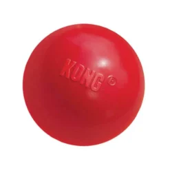KONG Balle Medium-Large Chien