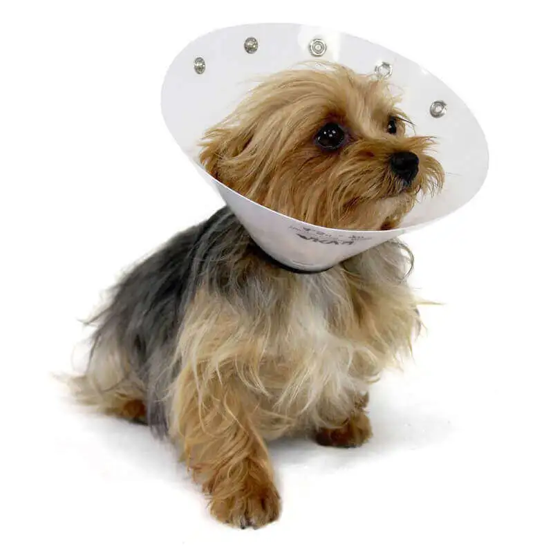 KONG Collier Carcan à Pression T.S Chien 3 KONG Collier Carcan à Pression T.S Chien