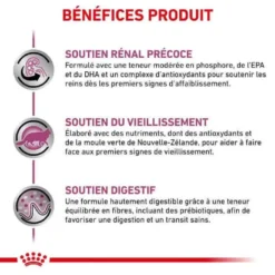 ROYAL CANIN Croquettes EARLY RENAL Chat Sac 400 G - Veterinary Health Nutrition -Nourriture pour chien Soldes croquettes early renal chat sac 400 g veterinary health nutrition 2