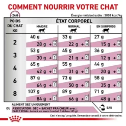 ROYAL CANIN Croquettes EARLY RENAL Chat Sac 400 G - Veterinary Health Nutrition -Nourriture pour chien Soldes croquettes early renal chat sac 400 g veterinary health nutrition 3