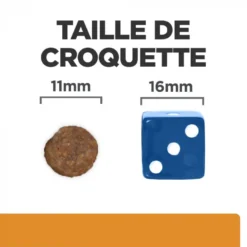 HILL'S Pet Nutrition Croquettes K/D J/D KIDNEY + MOBILITY Chien Sac 4 Kg - Prescription Diet -Nourriture pour chien Soldes croquettes kd jd kidney mobility chien sac 4 kg prescription diet 6