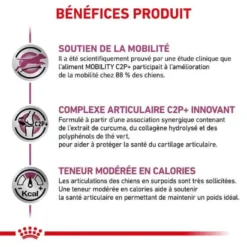 ROYAL CANIN Croquettes MOBILITY SUPPORT Chien Sac 12 Kg - Veterinary Health Nutrition 9 ROYAL CANIN Croquettes MOBILITY SUPPORT Chien Sac 12 Kg - Veterinary Health Nutrition -Nourriture pour chien Soldes croquettes mobility support chien sac 12 kg veterinary health nutrition 2