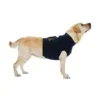 Medical Pet Shirt Gilet De Protection 4 EN 1 T.L Chien -Nourriture pour chien Soldes gilet de protection chien medical pet shirt top 4 en 1 t l
