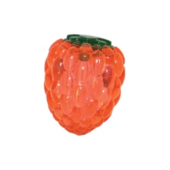 Rosewood Jouet BIOSAFE FRAMBOISE Chiot