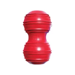 KONG Jouet DENTAL G.M Chien