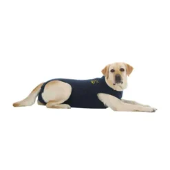 Medical Pet Shirt Gilet Protecteur T.XXL Chien