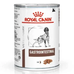ROYAL CANIN Pâtée GASTRO INTESTINAL Chien 12x400g - Veterinary Health Nutrition