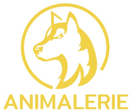 Nourriture pour chien Soldes